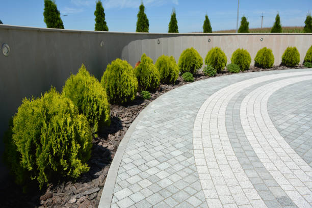 Reasons to Select Us for Your Driveway Paving Requirements in Tower Lakes, IL